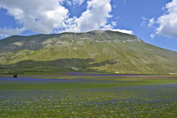 Castelluccio di Norcia, Umbria, Italia
