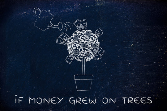 plant with cash and watering can, if money grew on trees