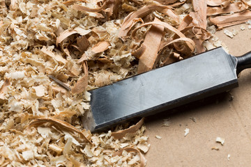 Wood shavings