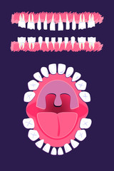 Oral cavity, teeth, tongue, tonsils, jaw - Children oral anatomy. Panoramic dental scan teeth child's. Upper and lower jaws of child isolated on dark background
