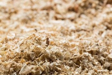Wood shavings