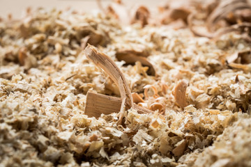 Wood shavings