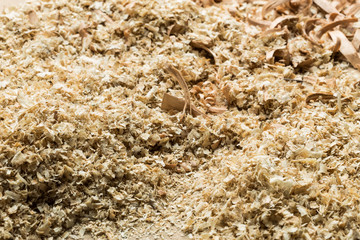 Wood shavings