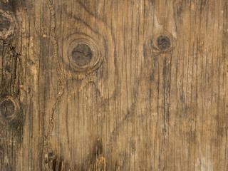 Obraz premium Texture of bark old wood use as natural background