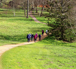Hikers in an English meadow