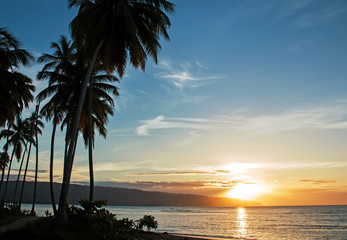Fototapeta na wymiar Sunset on the ocean coast