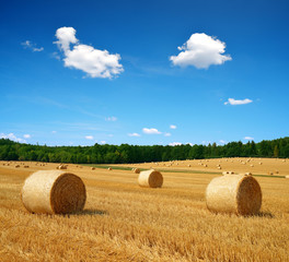Straw bales on farmland with blue cloudy sky