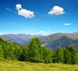 Fototapeta na wymiar Summer landscape in Swiss Alps near Davos - canton Graubunden.