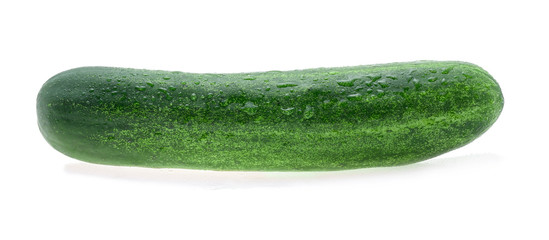 Wet cucumber isolated on white background.