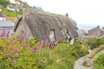 Cornish hillside fishing village with stone thatched roof traditional cottage with flower garden on...