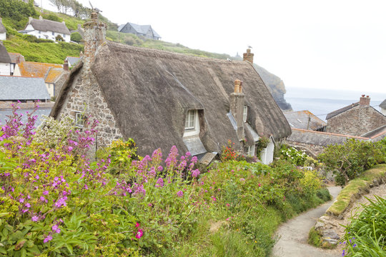 Cornish hillside fishing village with stone thatched roof traditional cottage with flower garden on a summer foggy day