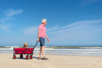 Senior man walking with dog at beach