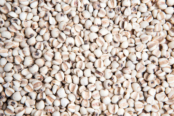 close up pile of millet as a background