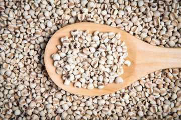 Obraz premium scoop of millet on the pile of millet background