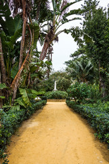 green park alley, Cadiz, Spain. Genovese garden