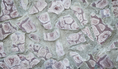 Fototapeta premium texture old wall