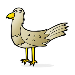 cartoon bird