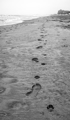 Fototapeta na wymiar Beach path, winter. Black and white photo