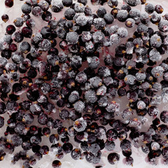 Frozen currants on ice cubes, selective focus.