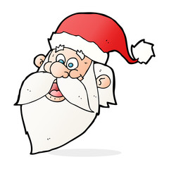 cartoon jolly santa claus face