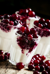 Sweet dessert of vanilla ice cream with cranberry sauce and berr