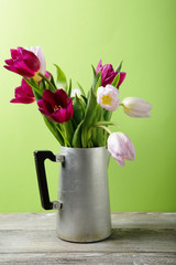 spring flowers in old pot