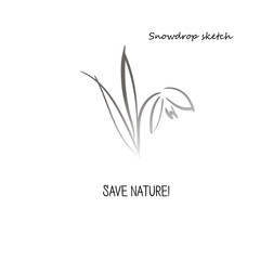 Silhouette of a snowdrop flower. Floral Art sketch