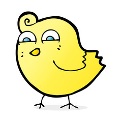 cartoon funny bird