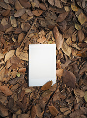 Polaroid film on leaves background