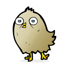 funny cartoon bird