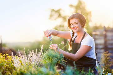 Young gardener cutting little flower plant, green sunny nature