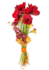 posy of red flowers on white background