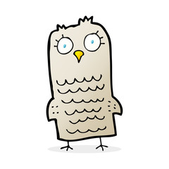cartoon owl