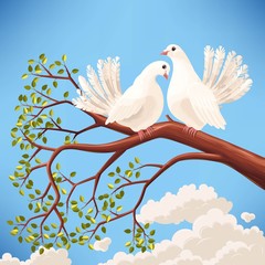 Two white doves on the branch