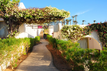 Fototapeta na wymiar Beautiful flowers, bush and footway in tropical garden on Red sea coast