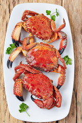 Steamed crabs on appetizer plate with herbs,top view