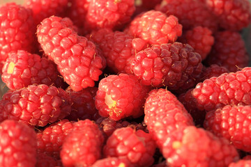 fresh raspberry background