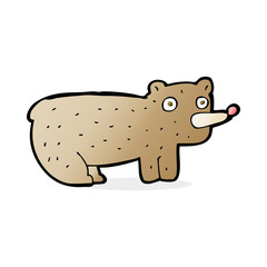 funny cartoon bear