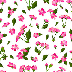 Spring seamless pattern background with cherry blossom