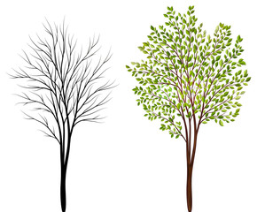 Obraz premium Trees on white background