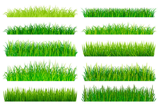 Green grass borders set