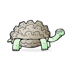 cartoon tortoise