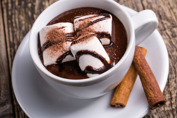 Cup of hot chocolate with marshmallow and cinnamon.