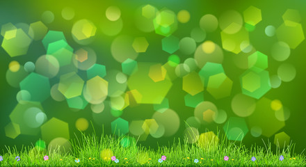 Spring background with green grass