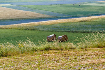 Hay rolled in bales. Italy. Castelluccio di norcia.