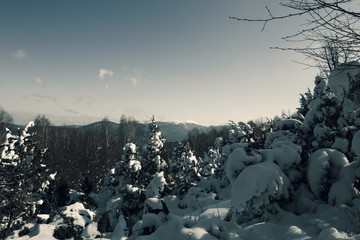 Zimowy widok © xfit