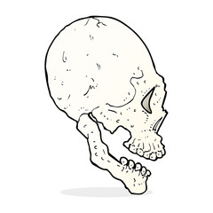 skull illustration