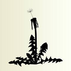Abstract dandelion background vector illustration springtime