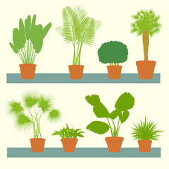 Home plants, green palms, bushes in pots set vector background i