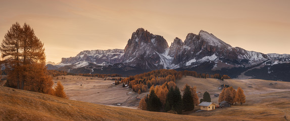 Italy. Dolomites. Before sunrise on the plateau of Alpe Di Siusi - obrazy, fototapety, plakaty